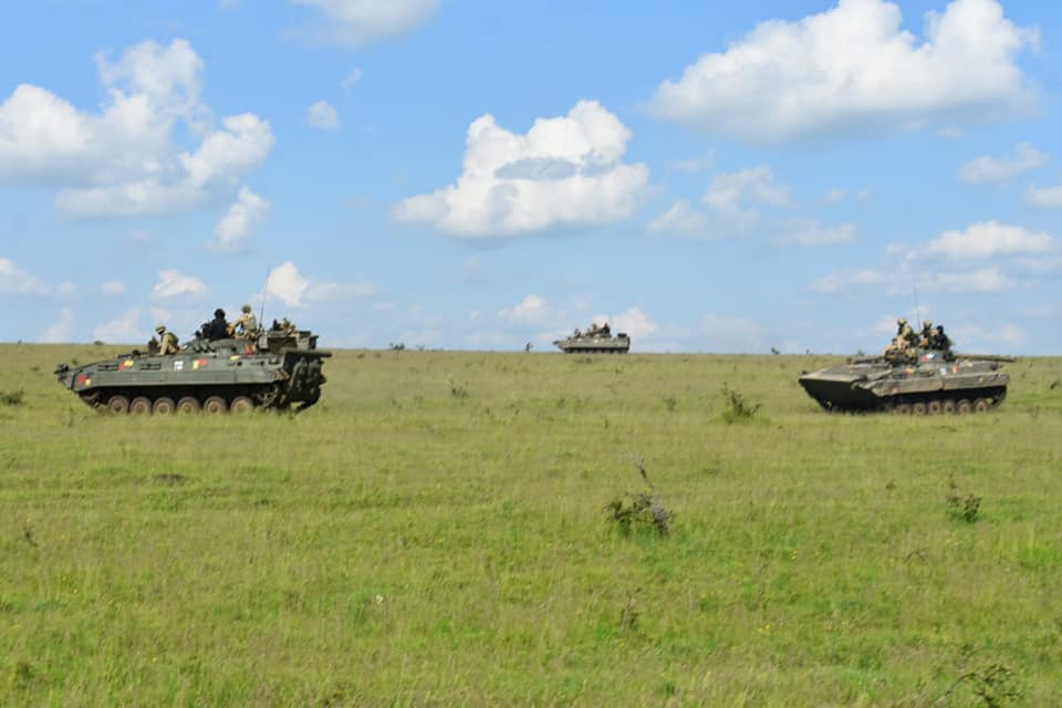 Многогранність діяльності